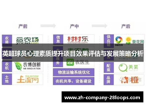 英超球员心理素质提升项目效果评估与发展策略分析