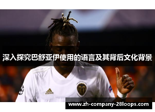 深入探究巴舒亚伊使用的语言及其背后文化背景 深入探究巴舒亚伊使用的语言及其背后文化背景