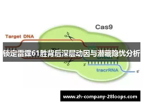 锁定雷霆61胜背后深层动因与潜藏隐忧分析 锁定雷霆61胜背后深层动因与潜藏隐忧分析