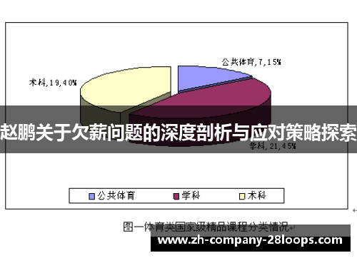 赵鹏关于欠薪问题的深度剖析与应对策略探索