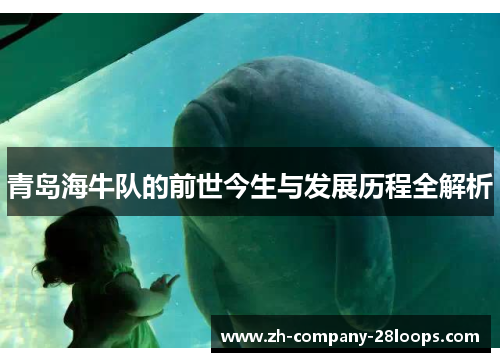 青岛海牛队的前世今生与发展历程全解析 青岛海牛队的前世今生与发展历程全解析